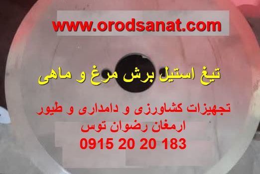 تیغ استیل برش مرغ و ماهی