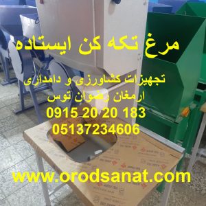 مرغ تکه کن ایستاده