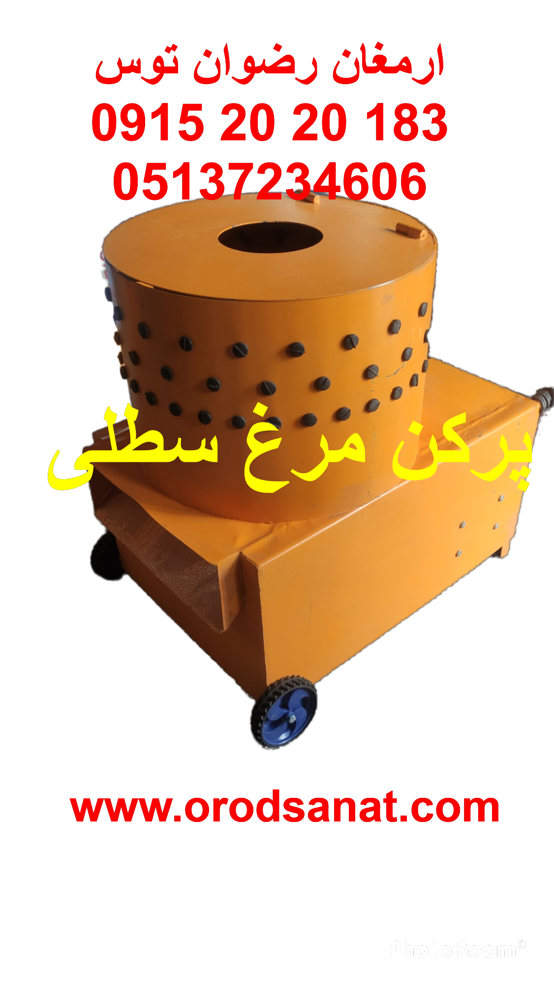 پرکن مرغ سطلی