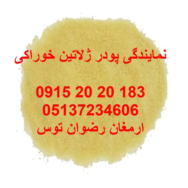 نمایندگی پودر ژلاتین خوراکی