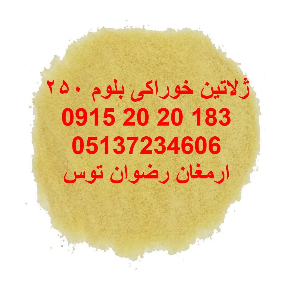 ژلاتین خوراکی بلوم 250 خوراکی دارای مجوز مصرف و برگه آنالیز جهت مصارف ژله و دسر جهت مشاوره وخرید با شماره های 09152020183 و 05137234606 تماس بگیرید .