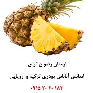 اسانس پودری آناناس خوراکی دلنسو، حلال در آب و وارداتی از ترکیه و اروپا، مناسب تولید پودر شربت، ژله، دسر، نوشیدنی‌های پودری، پاستیل و سایر فرآورده‌های غذایی