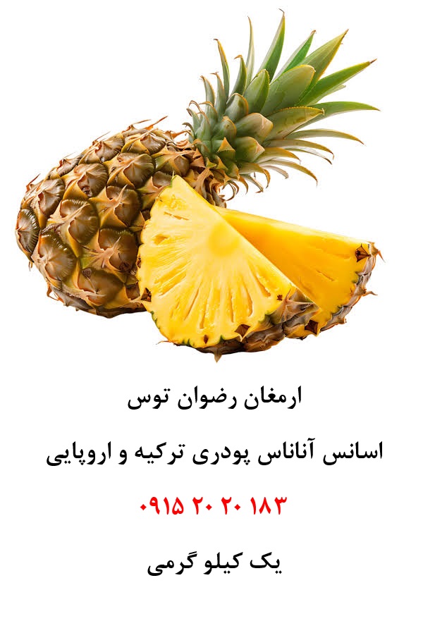 اسانس پودری آناناس خوراکی دلنسو، حلال در آب و وارداتی از ترکیه و اروپا، مناسب تولید پودر شربت، ژله، دسر، نوشیدنیهای پودری، پاستیل و سایر فرآوردههای غذایی