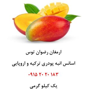 اسانس پودری انبه خوراکی دلنسو، حلال در آب و وارداتی از ترکیه و اروپا، مناسب تولید پودر شربت، ژله، نوشیدنی‌های فوری، دسر، پاستیل