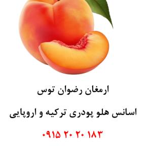 خرید اسانس پودری هلو خوراکی دلنسو، حلال در آب، وارداتی از ترکیه و اروپا، مناسب تولید پودر شربت، ژله، دسر، نوشیدنی‌های پودری و سایر