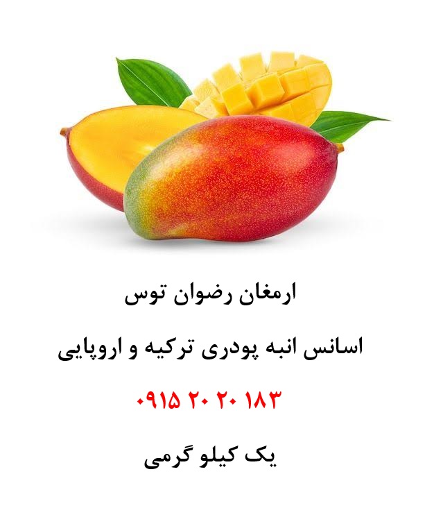 اسانس پودری انبه خوراکی دلنسو، حلال در آب و وارداتی از ترکیه و اروپا، مناسب تولید پودر شربت، ژله، نوشیدنیهای فوری، دسر، پاستیل