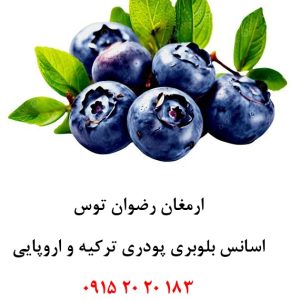 اسانس پودری بلوبری خوراکی دلنسو، حلال در آب و وارداتی از ترکیه و اروپا، مناسب تولید پودر شربت، ژله، نوشیدنی‌های پودری، دسر، پاستیل و سایر محصولات صنایع غذایی