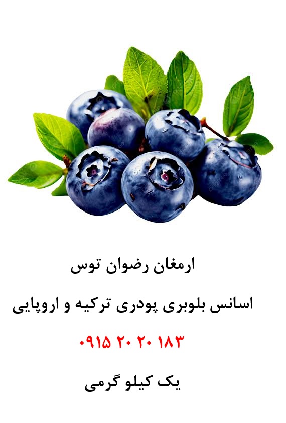 اسانس پودری بلوبری خوراکی دلنسو، حلال در آب و وارداتی از ترکیه و اروپا، مناسب تولید پودر شربت، ژله، نوشیدنیهای پودری، دسر، پاستیل و سایر محصولات صنایع غذایی