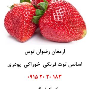 اسانس توت فرنگی اروپایی خوراکی پودری دلنسو با حلالیت کامل در آب، مناسب تولید پودر شربت، ژله