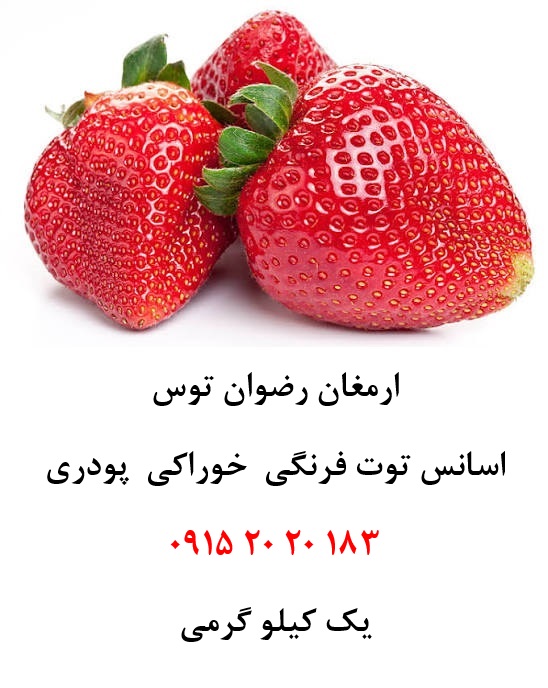 اسانس توت فرنگی اروپایی خوراکی پودری دلنسو با حلالیت کامل در آب، مناسب تولید پودر شربت، ژله