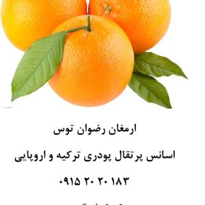 خرید اسانس پودری پرتقال خوراکی دلنسو حلال در آب، وارداتی از ترکیه و اروپا، مناسب تولید پودر شربت، ژله، دسر، نوشیدنی‌های پودری و سایر محصولات غذایی. بسته ۱ کیلوگرمی با کیفیت بالا