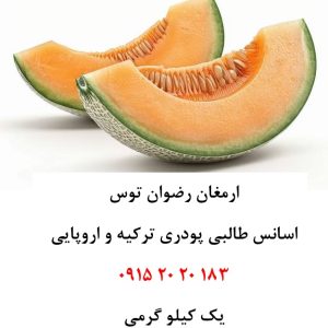 اسانس پودری طالبی خوراکی دلنسو، حلال در آب و وارداتی از ترکیه و اروپا، مناسب تولید پودر شربت، ژله، نوشیدنی‌های فوری، دسر، پاستیل و سایر محصولات غذایی