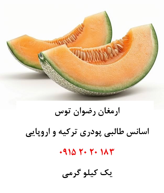 اسانس پودری طالبی خوراکی دلنسو، حلال در آب و وارداتی از ترکیه و اروپا، مناسب تولید پودر شربت، ژله، نوشیدنیهای فوری، دسر، پاستیل و سایر محصولات غذایی